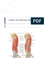 Lesion de Tendones Extensores de La Mano