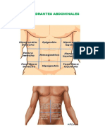 Cuadrantes Abdominales