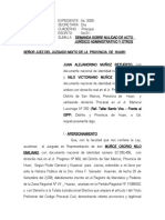 Demanda de Nulidad de Acto Juridico - Juan Muñoz Huari