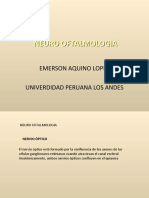 Neuro Oftalmologia