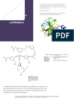 Catálisis de La Anhidrasa Carbónica