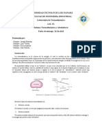 Sistema Termodinamico y Alrededores