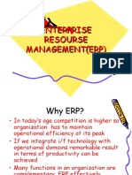 Enterprise Resourse Management (Erp)