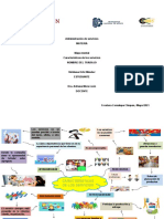 Caracteristicas de Los Servicios Mapa Mental