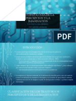 Psicopatología de La Percepción y La Imaginación