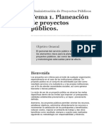 Proyectos Gubernamentales