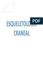 Esqueletología Craneal