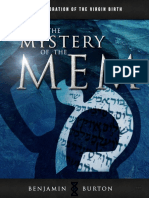 Mystery of The Mem