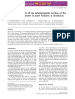 DiscoMalleolar Lig Hipotetical Function