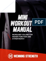 Mini Workout Manual V1