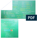 Bioquímica e Citologia No Enem