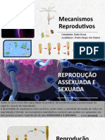 Mecanismos Reprodutivos