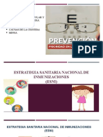 Estrategia Sanitaria Nacional de Inmunizaciones Sesin 16