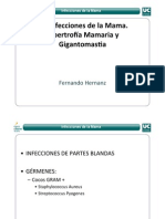 4.2 Infecciones de La Mama.