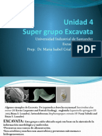 Unidad 4 Los Excavata Discicristae