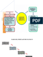 Fases Del Peritaje Psicológico