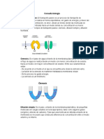 Consulta Biología