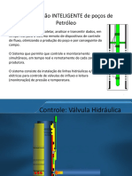 Completação INTELIGENTE de Poços de Petróleo