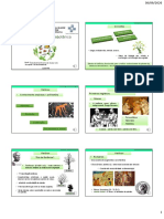 Slides - Introdução À Farmacobotânica - RAE