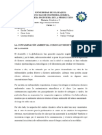 La Contaminación Ambiental Como Factor Determinante