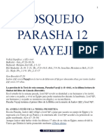 Bosquejo Parasha 12 Vayeji