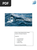 Salmones Camanchaca - Informe Final