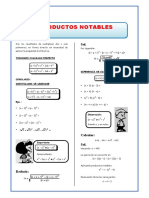 Algebra Productos Notables I