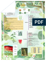 Diagrama de Histologia Vegetal