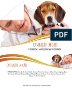 Slide - Castração em Cães