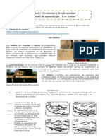 Biología - Fósiles - 26 de Julio Al 02 de Agosto (Fca. Chávez)