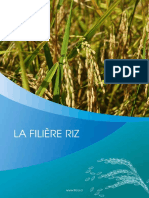 Filiere Riz Et Technologies Generees