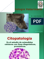 5.-Citologia Veterinaria