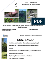 8.servicios Ambientales PWP