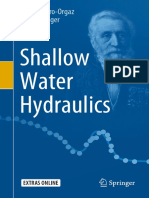 Shallow Water Hydraulics