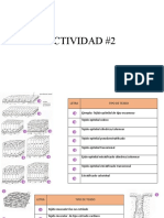 Actividad Tejido y Cell