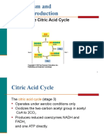 Metabolism and Energy Production