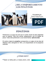 Ontogenia Del Comportamiento de Los Pinguinos