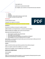 Músculos de La Cabeza y Expresión Facial y Palpación