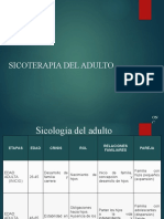 Sicoterapia Del Adulto