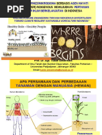 Rhizomicrobiome Engineering Through Indigenous Biofertilizers Toward Climate Resilient Sustainable Agriculture Indonesia