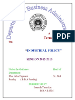 Term Paper: Industrial Policy"