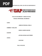 Trabajo Academico Derecho Procesal Penal II