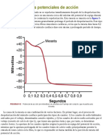 Meseta en Algunos Potenciales de Acción: Figura 5-13