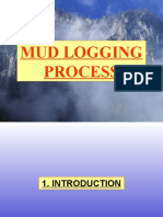 MUD LOGGER RESPONSIBILITY, Process