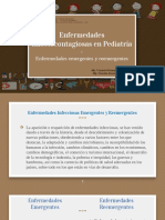 TEMA 10 Cuidado de Enfermeria Enfermedades Infectocontagiosas