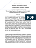 Identification of Water Efficient Rice (Oryza Sativa L.) Genotypes