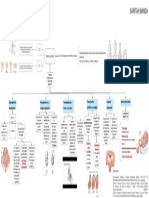 Mapa Conceptual - Distocia Fetal