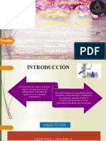 I & II Fases de Auditoría de Gestión