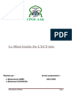 Le Mini-Guide de L'ECT-iste