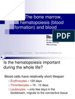 Heamtopoisis by DR Jawad